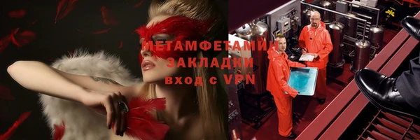 трава Коряжма