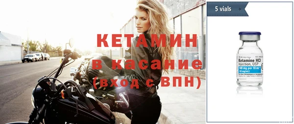 трава Коряжма