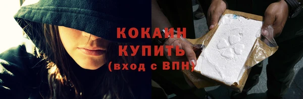 трава Коряжма