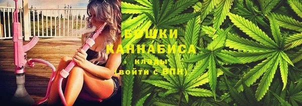 трава Коряжма