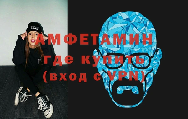 трава Коряжма