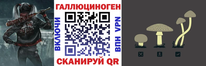 Псилоцибиновые грибы Psilocybine cubensis  Кызыл 